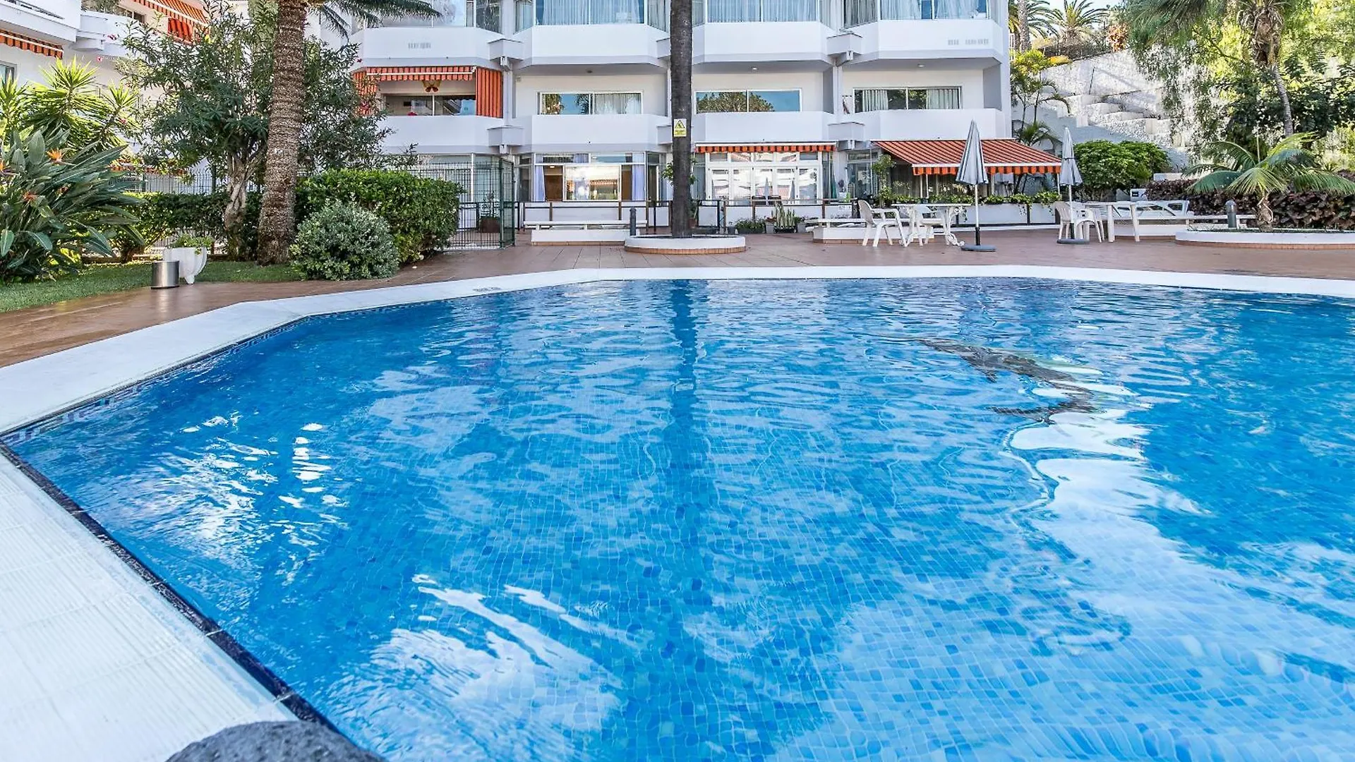 Charming Apt Puerto Cruz, Terrace & Pool Access Puerto de la Cruz