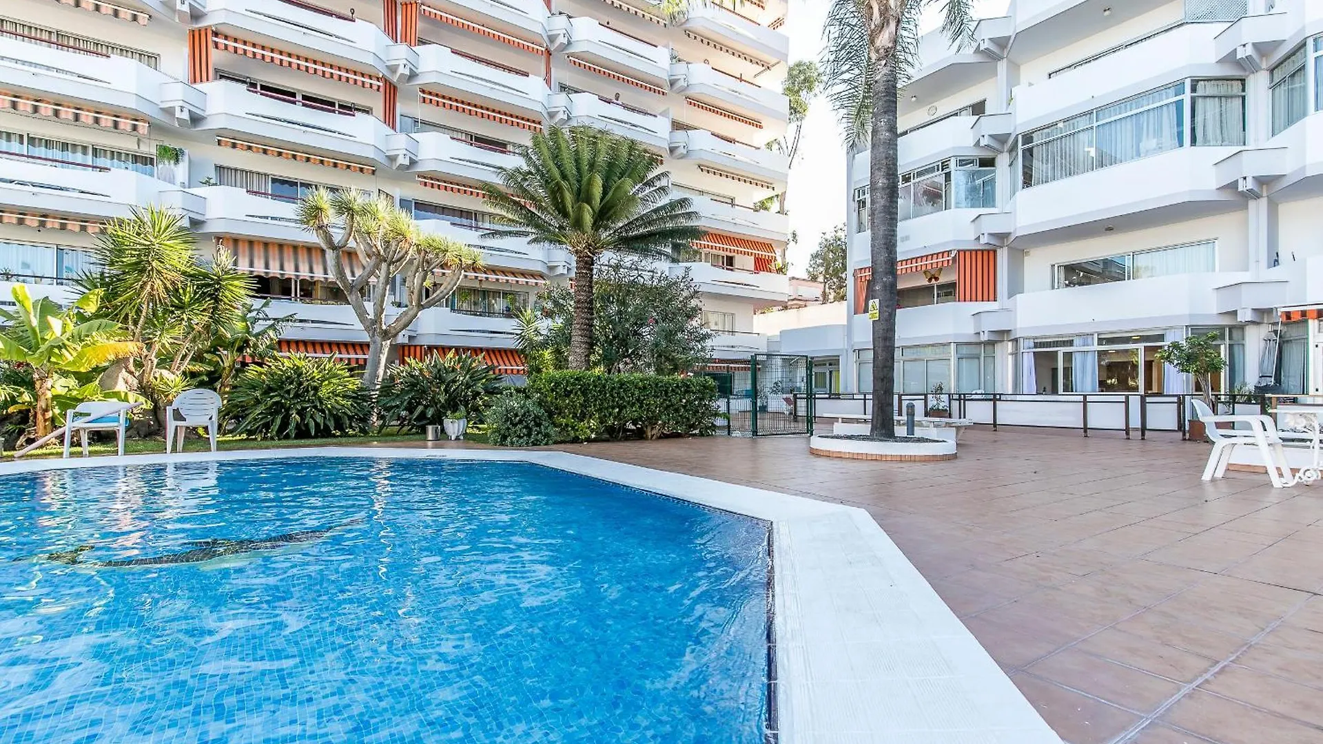 Charming Apt Puerto Cruz, Terrace & Pool Access Puerto de la Cruz  Apartamento