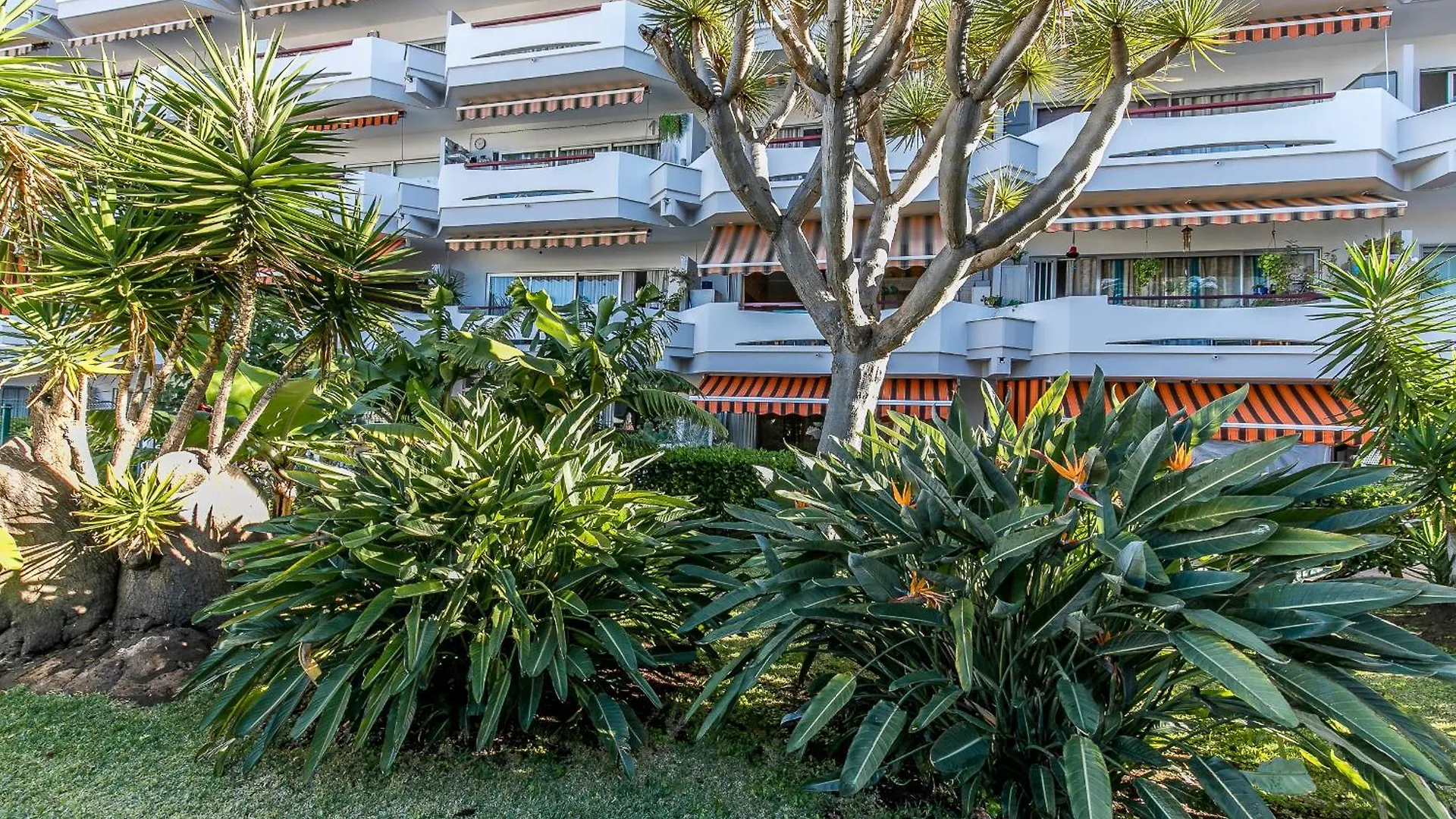 Charming Apt Puerto Cruz, Terrace & Pool Access Puerto de la Cruz  0*, Puerto de la Cruz (Tenerife) Espanha